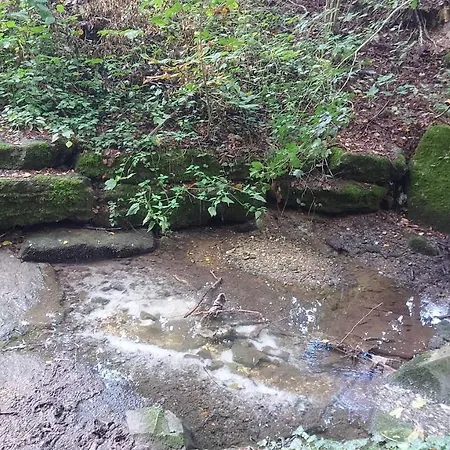 & Schwaebisch Gmuend