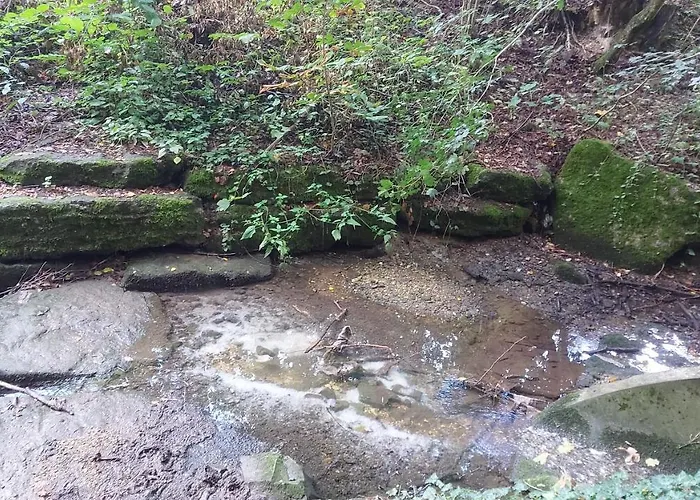 & Schwäbisch Gmünd